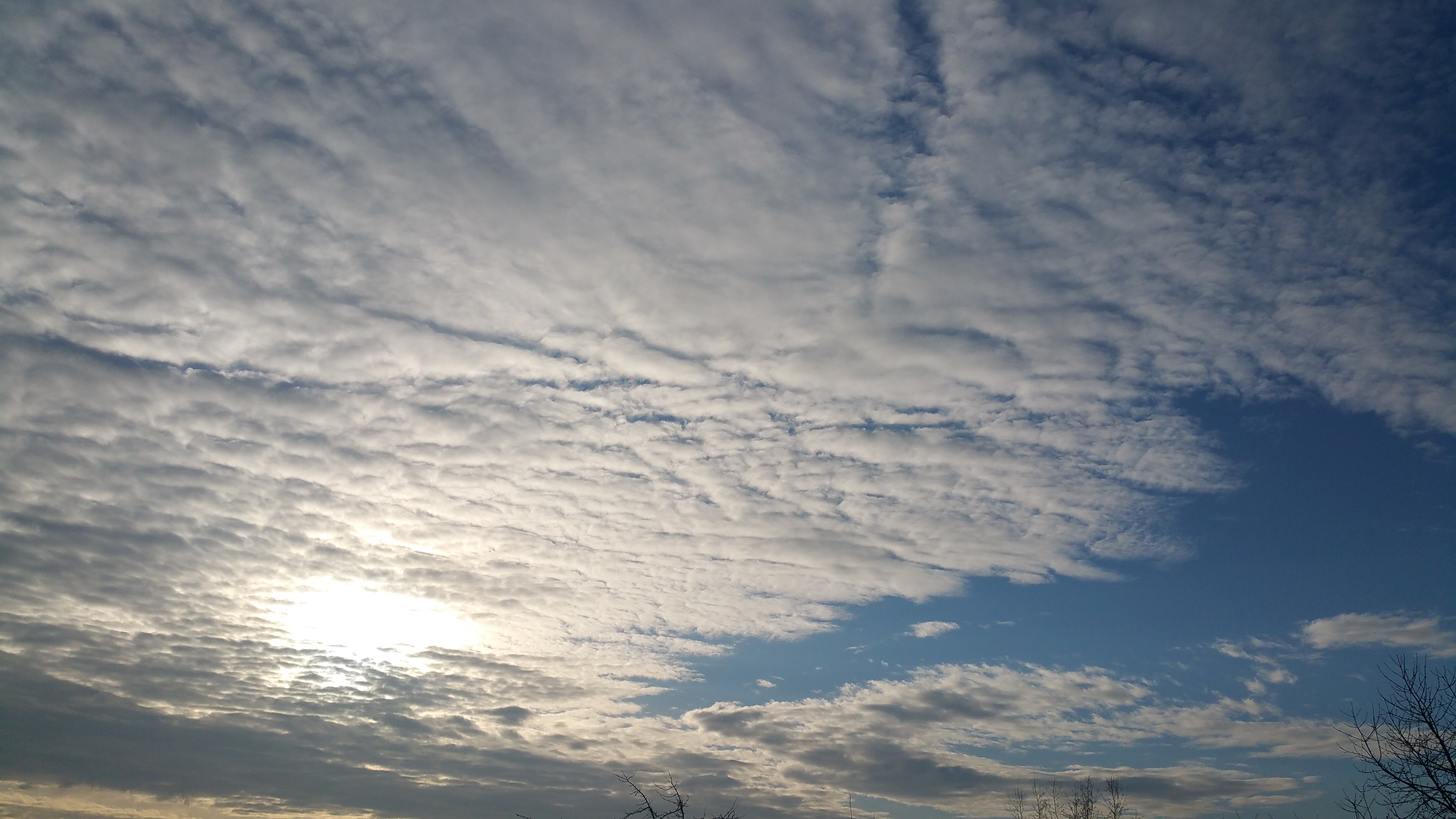 altostratus